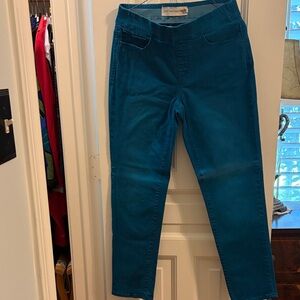 Soft Surroundings Teal Skinny Jeans